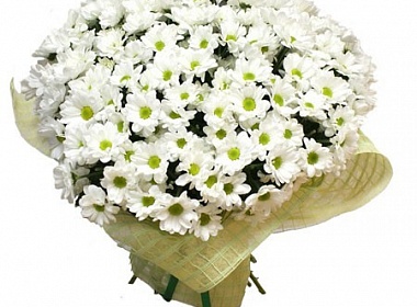 Нежное начало.